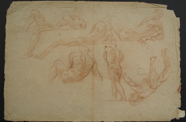 studio di nudi maschili per il Salone del Palazzo del Podestà di Bologna