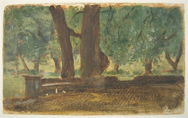 Bozzetto di paesaggio con alberi