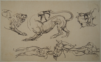 studio di figure umane e animali