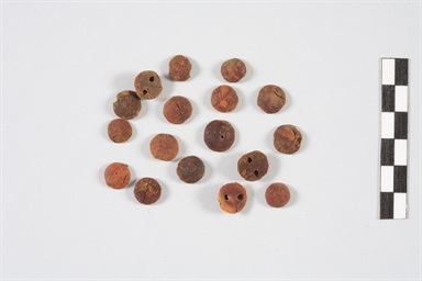 Classe A5 Negroni Catacchio