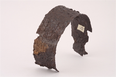 currus/ fasce semicircolari