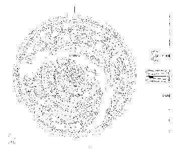 situla con coperchio