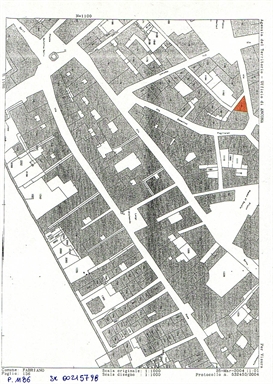 Palazzo con volto in Via Leopardi, 20