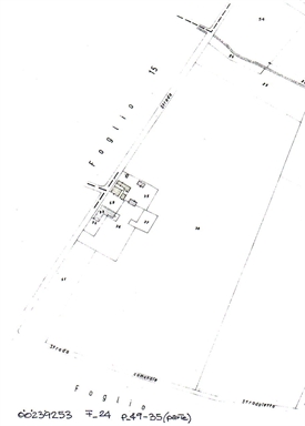 Casa colonica dell'azienda Bucci