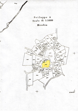 Casa padronale