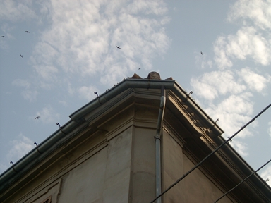 Palazzo Cecchetti