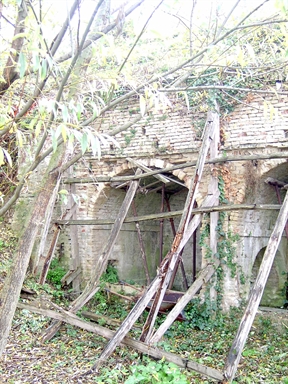 Fonte Agliana