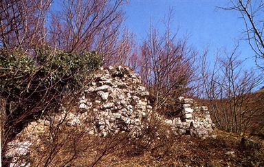 Rocca dei Tangani