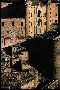 Scorcio del Palazzo Ducale di Urbino