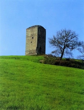 Torre Cotogna