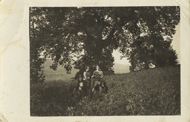 Ritratti femminili di quattro donne e tre cani. Tita Valori, in piedi, è riconoscibile sulla dx 