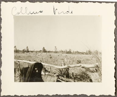 Ritratto ambientato di figura femminile