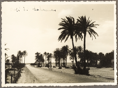 Veduta Oasi di Dahaman