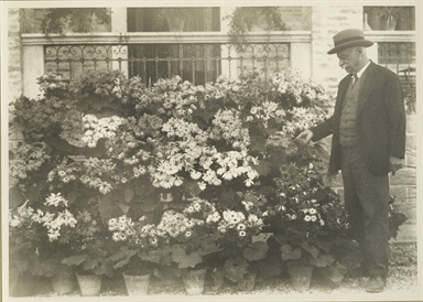 Foto ricordo in località Valdaso, giardino Villa De Vecchis