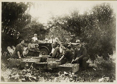 Foto ricordo durante la raccolta delle pesche lungo la Valdaso