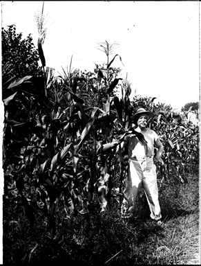Ritratto di un uomo in una piantagione di mais