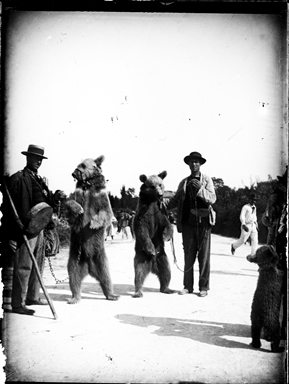Foto di un gruppo di uomini con orsi