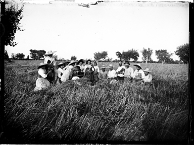 Foto di gruppo durante la raccolta del grano
