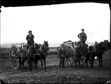 Foto di uomini su carri trainati da cavalli