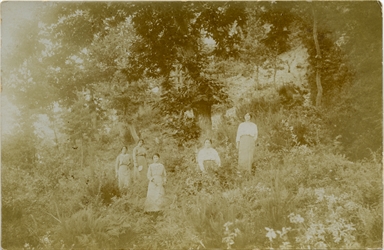 Donne ritratte in un bosco