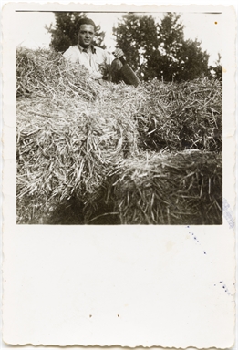 Ritratto di Giuseppe Del Zozzo