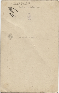 Ritratto di Elena Sangro