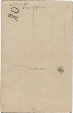 Ritratto di Lido Manetti