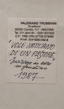 Volo notturno di un pastore