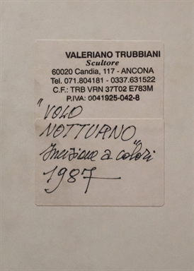 Volo notturno