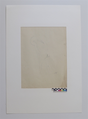 Nudo di schiena