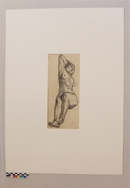 Nudo disteso