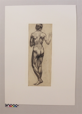 Nudo di spalle