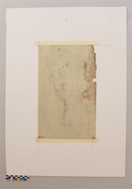 Nudo piegato in avanti