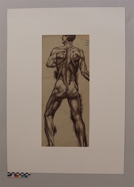 Nudo di spalle