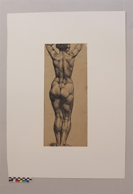 Nudo di spalle