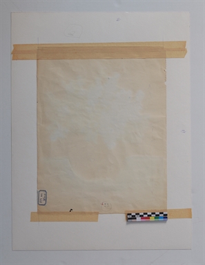 Fiori nel vaso bianco